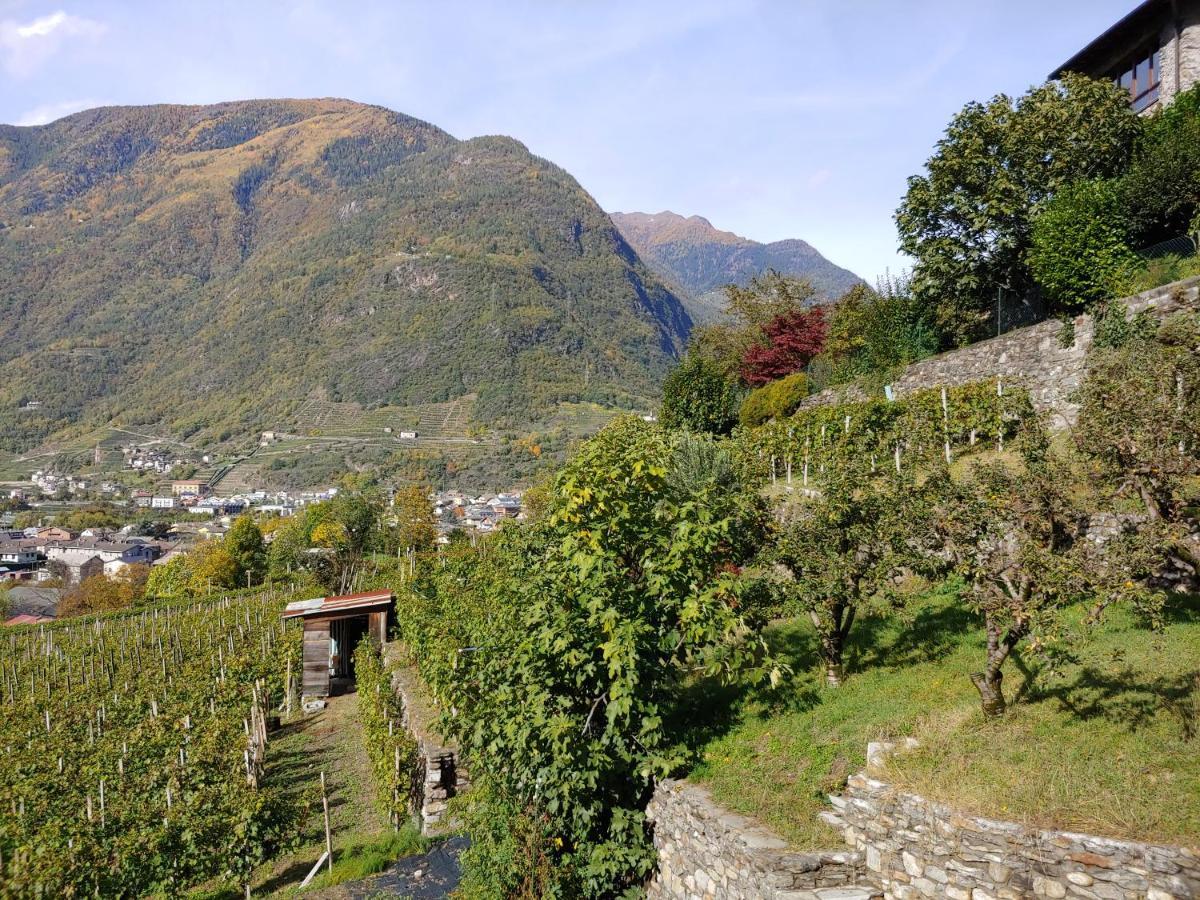 Pisolo Selvaggio Lägenhet Tirano Exteriör bild